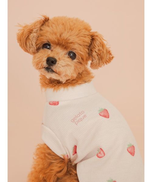 gelato pique(ジェラートピケ)の「【CAT&DOG】フルーツ柄ワッフルカットソープルオーバー(リード/ハーネス/首輪・レディース・ピンク/ミント/イエロー・S/M/L)」の17枚目の写真