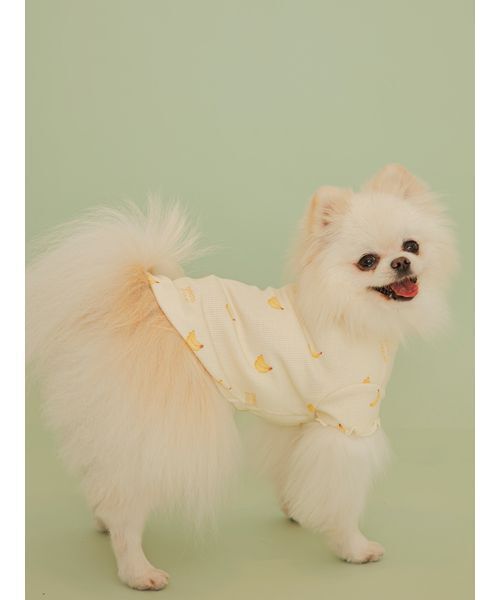 gelato pique(ジェラートピケ)の「【CAT&DOG】フルーツ柄ワッフルカットソープルオーバー(リード/ハーネス/首輪・レディース・ピンク/ミント/イエロー・S/M/L)」の18枚目の写真