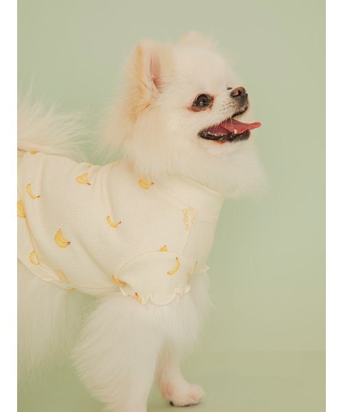 gelato pique(ジェラートピケ)の「【CAT&DOG】フルーツ柄ワッフルカットソープルオーバー(リード/ハーネス/首輪・レディース・ピンク/ミント/イエロー・S/M/L)」の19枚目の写真