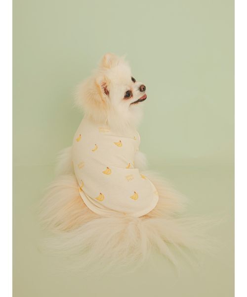 gelato pique(ジェラートピケ)の「【CAT&DOG】フルーツ柄ワッフルカットソープルオーバー(リード/ハーネス/首輪・レディース・ピンク/ミント/イエロー・S/M/L)」の20枚目の写真