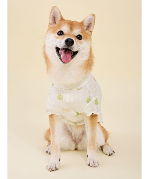 gelato pique(ジェラートピケ)の「【CAT&DOG】フルーツ柄ワッフルカットソープルオーバー(リード/ハーネス/首輪・レディース・ピンク/ミント/イエロー・S/M/L)」の21枚目の写真