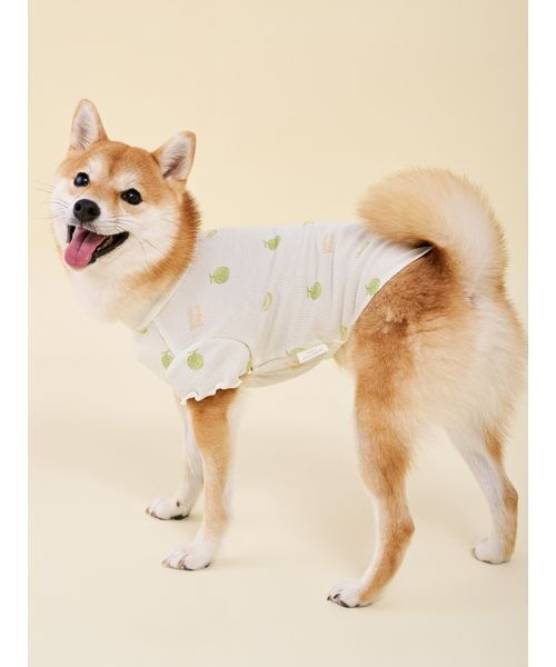 gelato pique(ジェラートピケ)の「【CAT&DOG】フルーツ柄ワッフルカットソープルオーバー(リード/ハーネス/首輪・レディース・ピンク/ミント/イエロー・S/M/L)」の22枚目の写真
