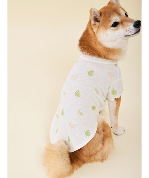 gelato pique(ジェラートピケ)の「【CAT&DOG】フルーツ柄ワッフルカットソープルオーバー(リード/ハーネス/首輪・レディース・ピンク/ミント/イエロー・S/M/L)」の2枚目の写真