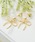 Rose Tiara�i���[�Y�e�B�A���j�́u���{���s�A�X�i�s�A�X�i�����p�j�j�v�b�S�[���h