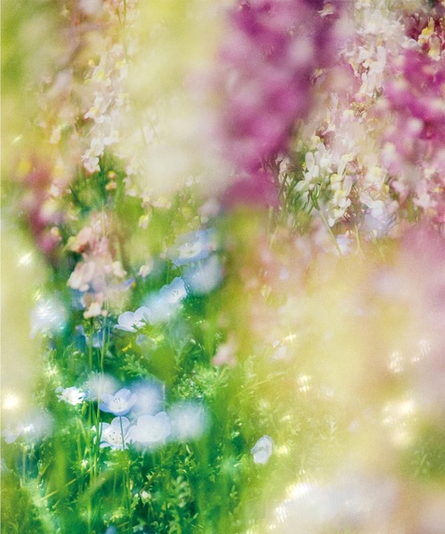 OSAJI（オサジ）の「オサジ ディフェンスミスト Urara＜ウララ＞【数量限定】（化粧水・レディース・その他・FREE）」の4枚目の写真