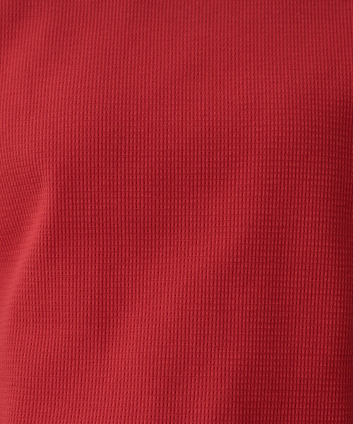 FREAK'S STORE(フリークスストア)の「限定展開 タックリブ 半袖 Tシャツ(Tシャツ/カットソー・レディース・ブラック/グレー/オフホワイト/レッド/ブラウン・フリ-)」の19枚目の写真