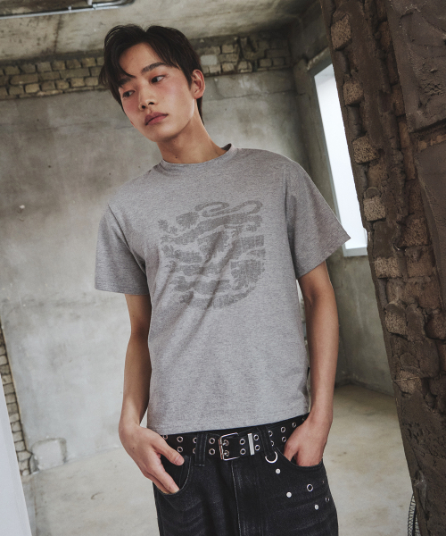 URBANSTOFF(アーバンストッフ)の「クラックアートワークベビーティー(メランジ)(Tシャツ/カットソー・レディース・その他・LARGE/MEDIUM)」の1枚目の写真