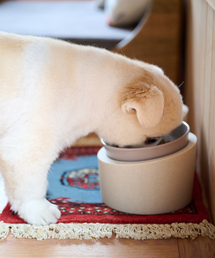 journal standard Furniture （ジャーナルスタンダードファニチャー）の「【ideaco】Pet Feeder Food Low　ペットフィーダー（その他ペットグッズ）」