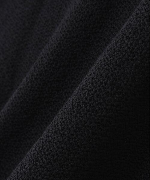 CLANE(クラネ)の「CLANE/クラネ/CRISP CROPPED POLO TOPS(ポロシャツ・レディース・ブラック/アイボリー/レッド・F)」の5枚目の写真
