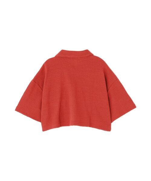 CLANE(クラネ)の「CLANE/クラネ/CRISP CROPPED POLO TOPS(ポロシャツ・レディース・ブラック/アイボリー/レッド・F)」の6枚目の写真