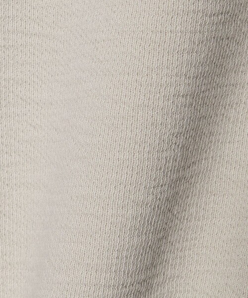 BEAUTY&YOUTH UNITED ARROWS(ビューティーアンドユースユナイテッドアローズ)の「コットン ダブルフェイス ドッキング プルオーバー(Tシャツ/カットソー・レディース・ライトグレー/オフホワイト/ブラック・FREE)」の9枚目の写真