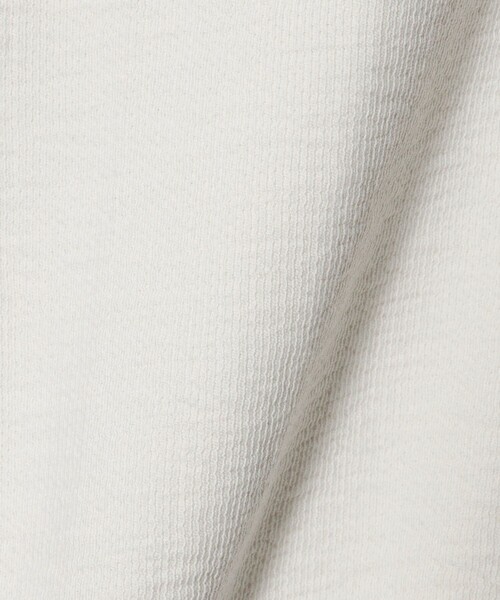 BEAUTY&YOUTH UNITED ARROWS(ビューティーアンドユースユナイテッドアローズ)の「コットン ダブルフェイス ドッキング プルオーバー(Tシャツ/カットソー・レディース・ライトグレー/オフホワイト/ブラック・FREE)」の12枚目の写真