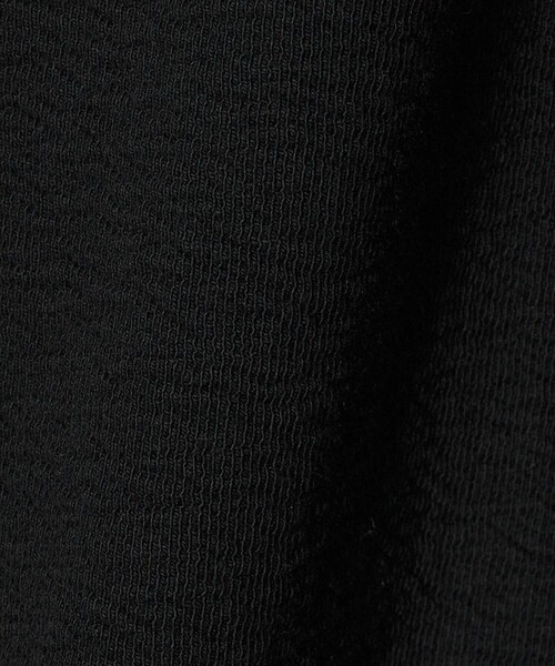 BEAUTY&YOUTH UNITED ARROWS(ビューティーアンドユースユナイテッドアローズ)の「コットン ダブルフェイス ドッキング プルオーバー(Tシャツ/カットソー・レディース・ライトグレー/オフホワイト/ブラック・FREE)」の15枚目の写真