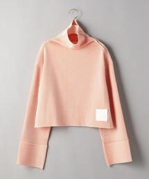 PHEENY | ＜PHEENY＞ストライプ ハイネック プルオーバー Ψ(ニット/セーター)