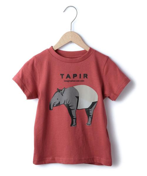 coen（コーエン）の「【coen kids】アニマルプリントＴシャツ(100～150cm)（Tシャツ/カットソー・キッズ・ホワイト/ライトブルー/ネイビー/レッド・110/100/130/140/120/150）」の4枚目の写真