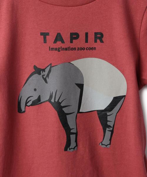 coen（コーエン）の「【coen kids】アニマルプリントＴシャツ(100～150cm)（Tシャツ/カットソー・キッズ・ホワイト/ライトブルー/ネイビー/レッド・110/100/130/140/120/150）」の10枚目の写真