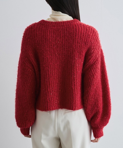 VIS（ビス）の「【WEB限定】スパンコールニットプルオーバー（ニット/セーター・レディース・キナリ/グレー/レッド・FREE）」の17枚目の写真