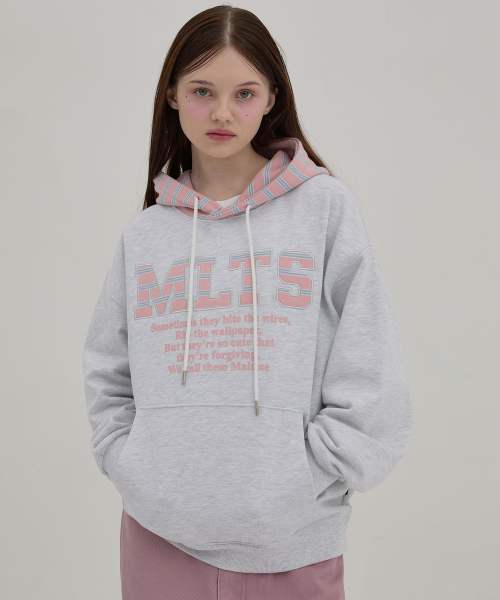 WaiKei(ワイケイ)の「MLTS ストライプ フードパーカー メランジホワイト(パーカー・レディース・その他・2/1)」の3枚目の写真