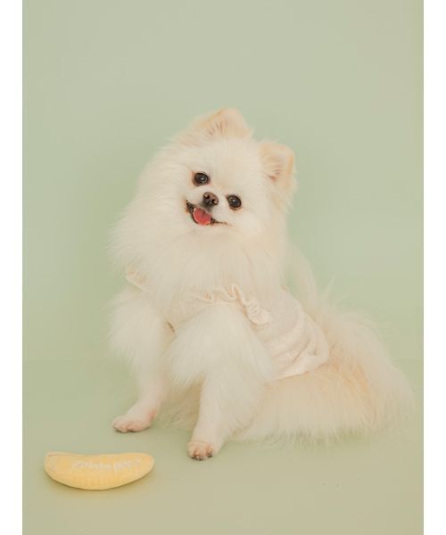 CAT&DOG】フルーツトイ（その他ペットグッズ）｜gelato pique