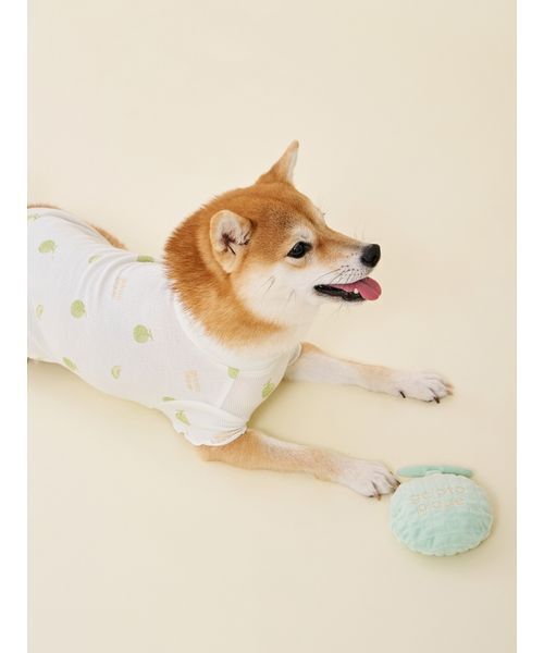 セール】【CAT&DOG】フルーツトイ（その他ペットグッズ）｜gelato