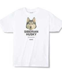 Moftique(モフティック) エントリーモデル 半袖Tシャツ アニマル シベリアンハスキー 犬 ドッグ ペット インクジェットプリント 褪せ感 4.0オンス 薄手 トップス カットソー 夏 カジュアル メンズ レディース ユニセックス