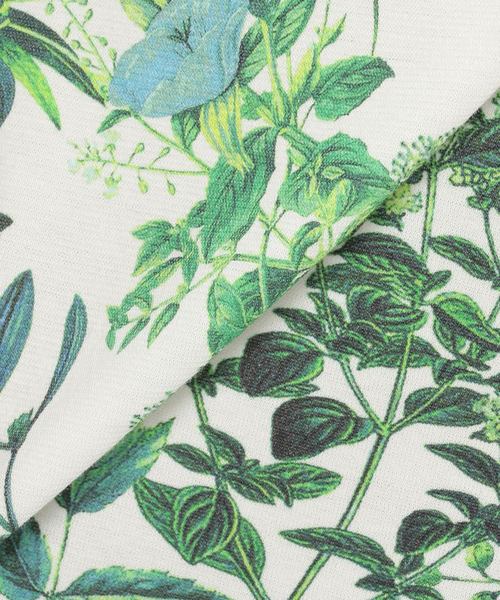 A/C DESIGN BY ALPHA CUBIC(エーシーデザインバイアルファキュービック)の「ボタニカルプリントプルオーバー(Tシャツ/カットソー・レディース・ブルー/グリーン・M size/L size)」の17枚目の写真