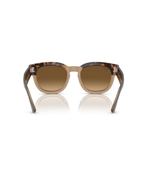 Ray-Ban(レイバン)の「Ray-Ban レイバン サングラス MEGA HAWKEYE 0RB0298SF531292M2(偏光レンズ)(サングラス・メンズ・ブラウン・53)」の5枚目の写真