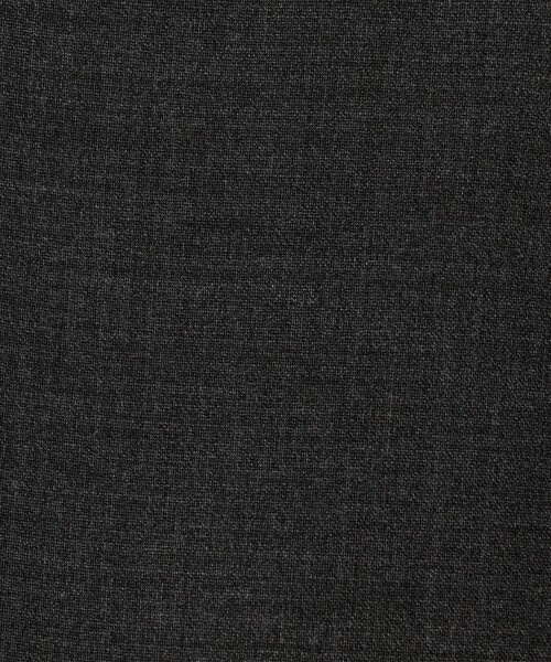 PT TORINO（ピーティートリノ）の「PT TORINO Gentleman Fit ポリエステルウール 1プリーツ スリムスラックス（スラックス・メンズ・キャメル/チャコールグレー/グレー・50/48/44）」の13枚目の写真