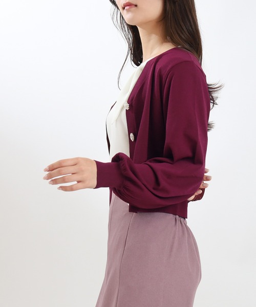 ASTORIA ODIER（アストリアオディール）の「アソート装飾ボタンVネックカーディガン（カーディガン/ボレロ・レディース・ブラウン/アイボリー/ブラック/ワイン・MEDIUM）」の18枚目の写真