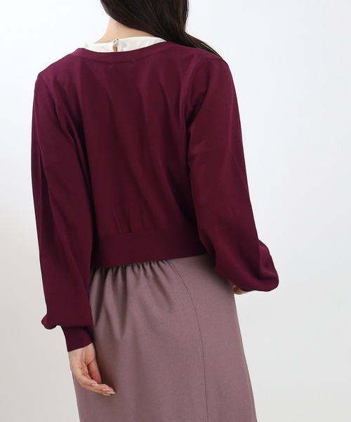 ASTORIA ODIER（アストリアオディール）の「アソート装飾ボタンVネックカーディガン（カーディガン/ボレロ・レディース・ブラウン/アイボリー/ブラック/ワイン・MEDIUM）」の21枚目の写真