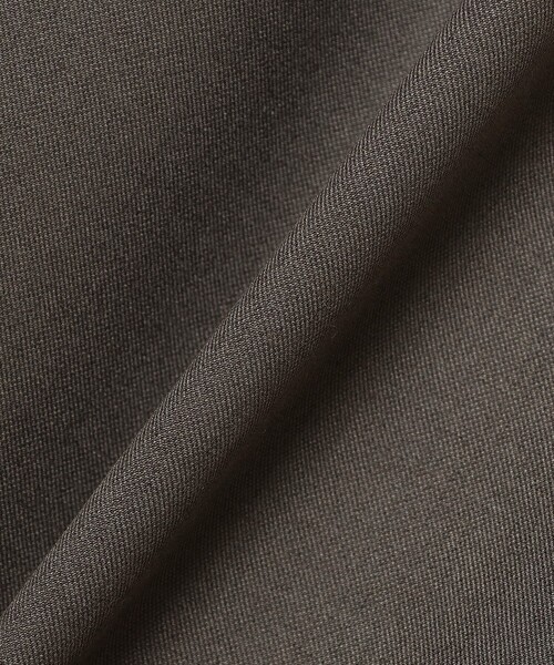 Demi-Luxe BEAMS（デミルクス ビームス）の「BEAMS SALON / ミューズ シック パンツ【セレモニー・オケージョン】（その他パンツ・レディース・グレー/ベージュ・36/38）」の11枚目の写真