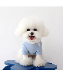 CHIOT（シュオト）の「シュートシャーベットワッフルTシャツ (ブルーソーダ)（ペットウェア）」