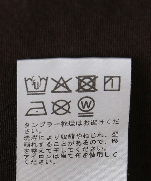 JOURNAL STANDARD relume(ジャーナルスタンダード レリューム)の「クルーネックシアーリンガーTEE(Tシャツ/カットソー・レディース・アイボリー/ブラウン・FREE)」の5枚目の写真