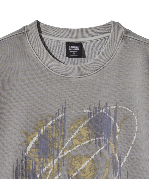 GAKKAI UNIONS(ガッカイユニオンズ)の「グリッチ PIGMENT スウェット ストーングレー(スウェット・レディース・その他・SMALL/MEDIUM/LARGE/X-LARGE)」の5枚目の写真