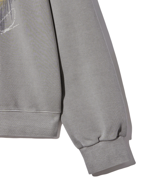 GAKKAI UNIONS(ガッカイユニオンズ)の「グリッチ PIGMENT スウェット ストーングレー(スウェット・レディース・その他・SMALL/MEDIUM/LARGE/X-LARGE)」の6枚目の写真