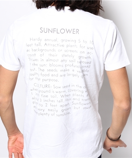 BEAUTY&YOUTH UNITED ARROWS（ビューティーアンドユースユナイテッド 