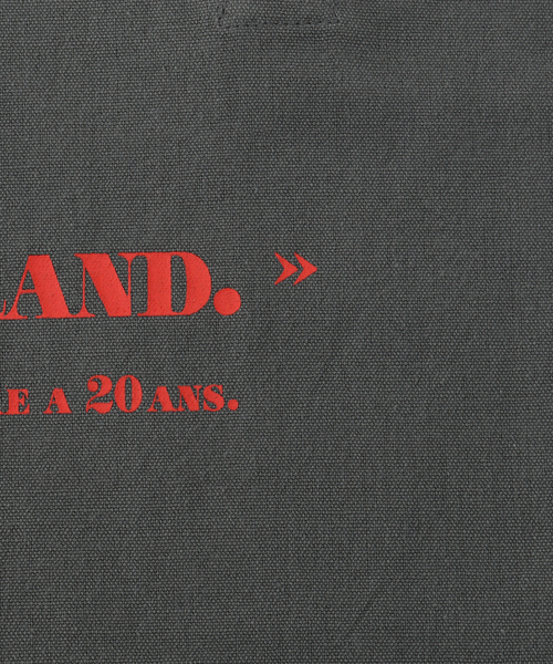 JOURNAL STANDARD LUXE(ジャーナルスタンダード ラックス)の「20thトート M(エコバッグ/サブバッグ・レディース・チャコールグレー/ライトグレー/ピンク/マスタード・FREE)」の13枚目の写真
