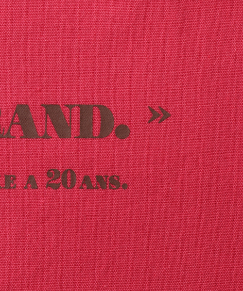 JOURNAL STANDARD LUXE(ジャーナルスタンダード ラックス)の「20thトート M(エコバッグ/サブバッグ・レディース・チャコールグレー/ライトグレー/ピンク/マスタード・FREE)」の15枚目の写真