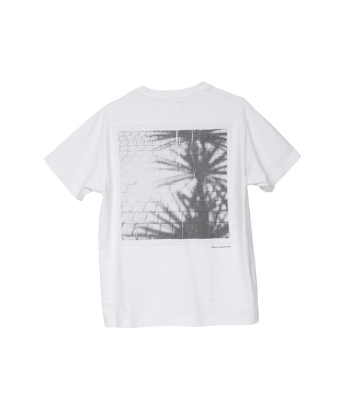 SELECTED∴SeagreenパームツリーT（Tシャツ/カットソー）｜HIGH STREET（ハイストリート）
