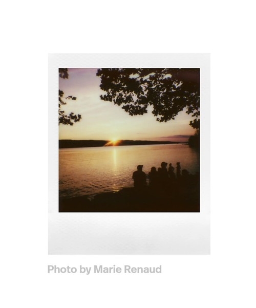 POLAROID(ポラロイド)の「Polaroid/ポラロイド フィルム Polaroid Go Color Film White Frame Double Pack(16枚) 006017(カメラ/カメラグッズ・メンズ・ホワイト・16)」の2枚目の写真