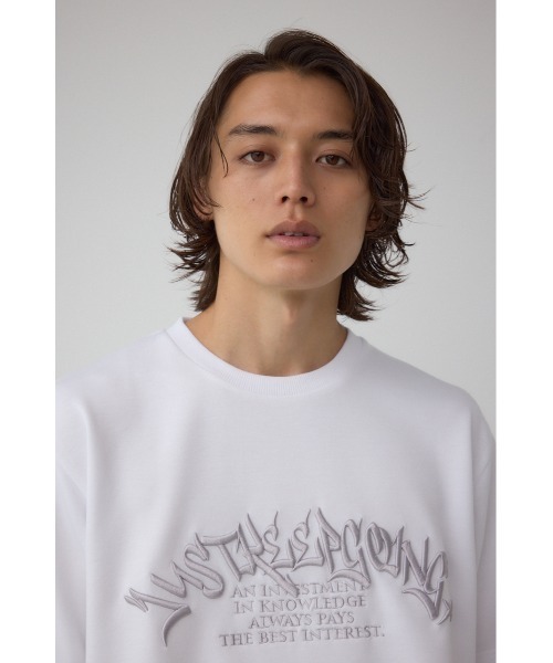BLACK by moussy stitch design shirt【新品】 AZUL BY MOUSSY | フォト切り替えTシャツ (Tシャツ・カットソー(半袖