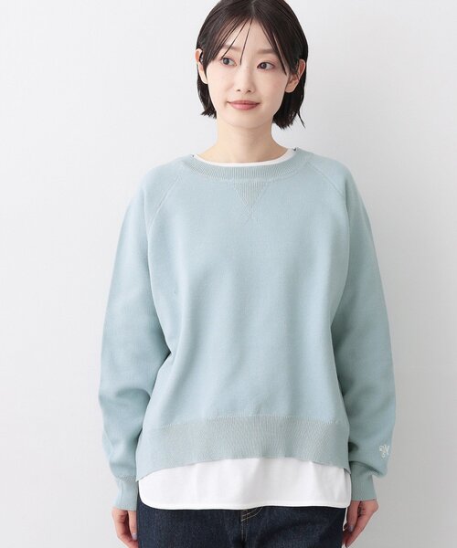Dessin（デッサン）の「【洗える】スウェットライクニット（ニット/セーター・レディース・サックスブルー/ライトグレー/ネイビー・03/02/01）」の16枚目の写真