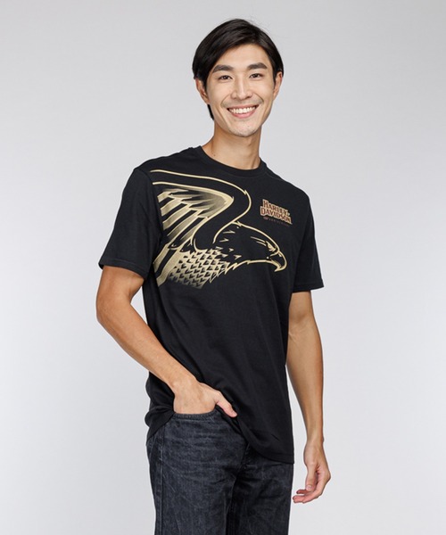 120周年記念スピードバードTシャツ（Tシャツ/カットソー）｜Harley