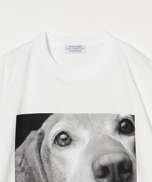 POET MEETS DUBWISE（ポエットミーツダブワイズ）の「＜POET MEETS DUBWISE＞ KINDNESS&HEALING 2 T-Shirt/Tシャツ（Tシャツ/カットソー・メンズ・ホワイト・XL/L/M）」の3枚目の写真