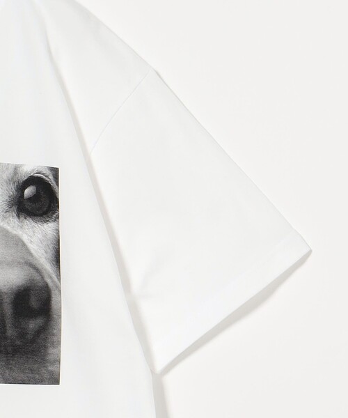 POET MEETS DUBWISE（ポエットミーツダブワイズ）の「＜POET MEETS DUBWISE＞ KINDNESS&HEALING 2 T-Shirt/Tシャツ（Tシャツ/カットソー・メンズ・ホワイト・XL/L/M）」の4枚目の写真