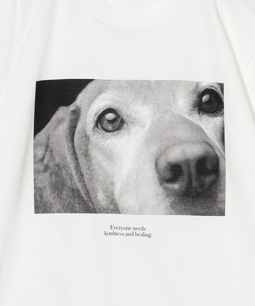 POET MEETS DUBWISE（ポエットミーツダブワイズ）の「＜POET MEETS DUBWISE＞ KINDNESS&HEALING 2 T-Shirt/Tシャツ（Tシャツ/カットソー・メンズ・ホワイト・XL/L/M）」の5枚目の写真