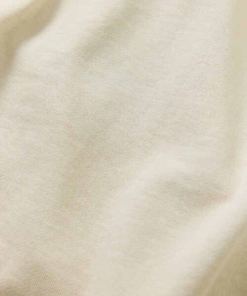 COLEMAN（コールマン）の「Coleman/コールマン 別注 バックプリント スピンドル ハーフスナップスウェット（スウェット・メンズ・ライトグレー/チャコールグレー/オフホワイト/マスタード・MEDIUM/LARGE）」の20枚目の写真