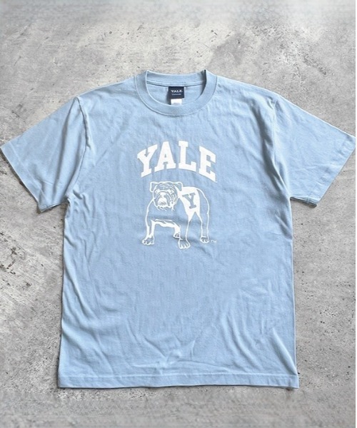 BACKYARD FAMILY(バックヤードファミリー)の「YALE SHORT SLEEVE T-SHIRT(Tシャツ/カットソー・メンズ・ホワイト/スカイブルー系・M)」の1枚目の写真