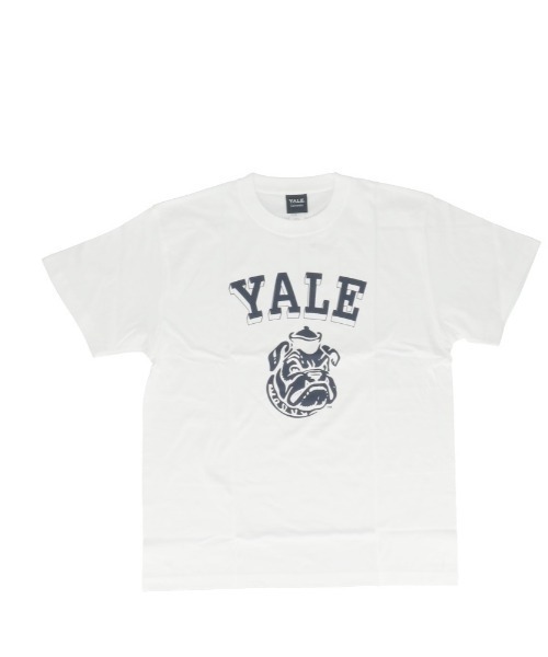 BACKYARD FAMILY(バックヤードファミリー)の「YALE SHORT SLEEVE T-SHIRT(Tシャツ/カットソー・メンズ・ホワイト/スカイブルー系・M)」の3枚目の写真