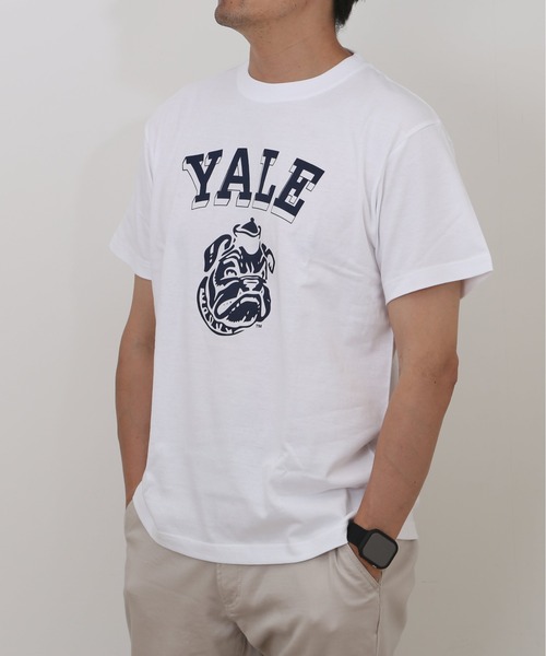 BACKYARD FAMILY(バックヤードファミリー)の「YALE SHORT SLEEVE T-SHIRT(Tシャツ/カットソー・メンズ・ホワイト/スカイブルー系・M)」の4枚目の写真